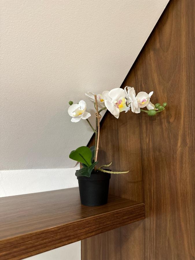 Velvet Studio Zoned 科帕奥尼克 外观 照片